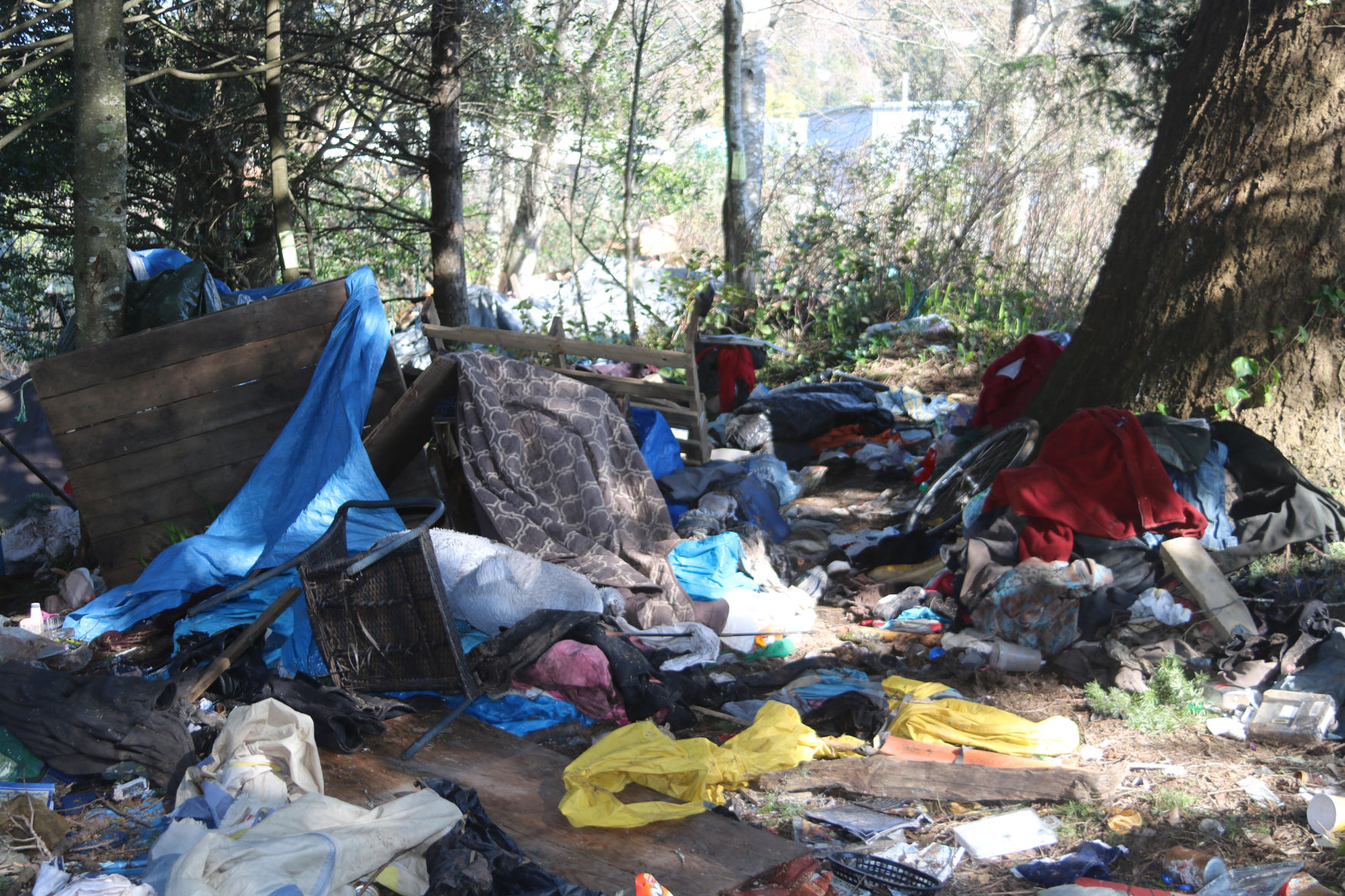 Second Camp
